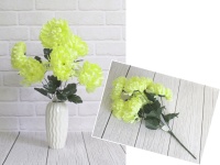 Bukiet CHRYZANTEMA pompon 7 kwiatów (wys. 53 cm, kwiat 11 cm) - JASNY ŻÓŁTY