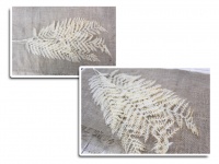 Bukiet paproci dekoracyjny 5 liści - KREMOWY 100 cm