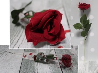Walentynkowa RÓŻA aksamitna rozwinięta w rożku foliowym 40 cm - 1 szt