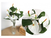 Bukiet ANTURIUM wys. 43 cm 12 kwiatów (9x7 cm) BIAŁY