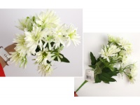 Bukiet ASTER wys.36 cm 5 łodyg (10 kwiatów 6 cm) BIAŁY