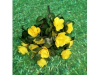 Bukiet AZALIA 21 kwiatów (5 cm) wys. 33 cm ŻÓŁTA