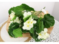 Bukiet PELARGONIA 5 łodyg 37 cm BIAŁA