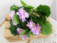 Bukiet PELARGONIA 5 łodyg 37 cm FIOLETOWA CIENOWANA