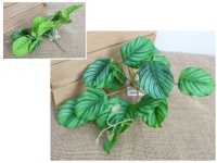 Bukiet, bukiecik KALATEA wys. 20 cm, 10 łodyg (16 liści silikonowych 7x5,5 cm) zielony w paski