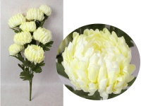 Bukiet CHRYZANTEMA ANANAS wys. 70 cm, 3 łodygi (8 kwiatów 13-10 cm) ŚMIETANOWA