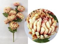 Bukiet CHRYZANTEMA ANANAS wys. 70 cm, 3 łodygi (8 kwiatów 13-10 cm) KORALOWA