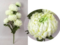 Bukiet CHRYZANTEMA ANANAS wys. 70 cm, 3 łodygi (8 kwiatów 13-10 cm) BIAŁA z zielonym środkiem