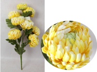 Bukiet CHRYZANTEMA ANANAS wys. 70 cm, 3 łodygi (8 kwiatów 13-10 cm) ŻÓŁTO-BIAŁA