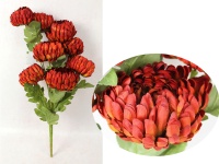 Bukiet CHRYZANTEMA ANANAS wys. 70 cm, 3 łodygi (8 kwiatów 13-10 cm) CZERWONA