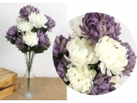 Bukiet CHRYZANTEMA dwa kolory wys. 50 cm 14 łodyg (14 kwiatów 11 cm) FIOLETOWO-BIAŁY