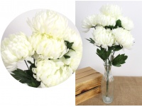Bukiet CHRYZANTEMA wys. 50 cm 7 łodyg (7 kwiatów 11 cm) ŚMIETANOWY