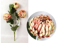 Bukiet CHRYZANTEMA wys. 60 cm, 3 łodygi (3 kwiaty 13-10 cm) KORALOWA