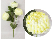 Bukiet CHRYZANTEMA wys. 60 cm, 3 łodygi (3 kwiaty 13-10 cm) ŚMIETANOWA