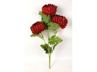 Bukiet CHRYZANTEMA wys. 60 cm, 3 łodygi (3 kwiaty 13-10 cm) CZERWONA