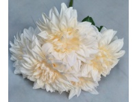 Bukiet DALIA 5 łodyg 45 cm kwiat 17 cm SZAMPAN