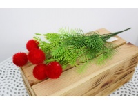 Bukiet FUTRZANE KULKI ping pong 40 cm 5 kwiatów CZERWONE