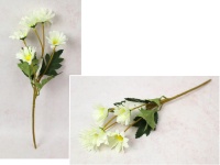 Bukiet GERBERA wys. 41 cm, 5 łodyg (5 kwiatów 6x3 cm) ECRU z cytrynowym środkiem
