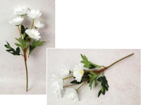 Bukiet GERBERA wys. 41 cm, 5 łodyg (5 kwiatów 6x3 cm) BIAŁA