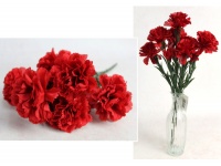 Bukiet GOŹDZIK wys. 40 cm 7 łodyg (11 główek 4-8 cm) CZERWONY