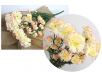 Bukiet GOŹDZIK, CEGIEŁKI wys. 45 cm 7 łodyg (kwiat 2,5-6 cm) ŻÓŁTY Z JASNYM RÓŻEM