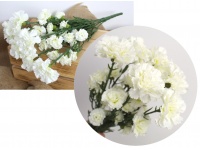 Bukiet GOŹDZIK, CEGIEŁKI wys. 45 cm 7 łodyg (kwiat 2,5-6 cm) BIAŁY