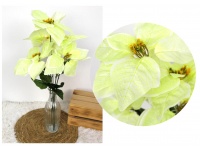 Bukiet Gwiazda betlejemska, POINSECJA wys. 50 cm, 5 kwiatów (20 cm) - ZIELONA