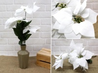 Bukiet Gwiazda Betlejemska POINSECJA 5 kwiatów (wys. 50 cm, kwiat 20 cm) BIAŁA