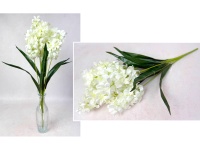 Bukiet HIACYNT wys. 62 cm 7 łodyg (7 kwiatów 14 cm) BIAŁY