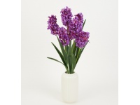 Bukiet HIACYNT wys. 64 cm 7 łodyg (7 kwiatów 13 cm) FIOLETOWY CIEMNY
