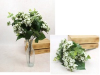 Bukiet KALANCHOE wys. 44 cm, 10 łodyg (7 kwiatów 8x4 cm) BIAŁA