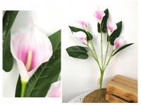 Bukiet KALIA piankowa wys. 61 cm (5 kwiatów 13x7 cm) RÓŻOWA