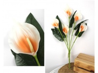 Bukiet KALIA piankowa wys. 61 cm (5 kwiatów 13x7 cm) POMARAŃCZOWA