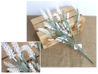 Bukiet LAWENDA bielona wys.40 cm, 6 łodyg BIAŁA