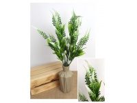 Bukiet LAWENDA wys.55 cm 24 łodygi BIAŁA