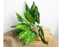 Bukiet liści DIFENBACHIA 45 cm