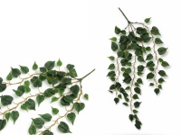 Bukiet liści, zwis FILODENDRON wys. 95 cm, 5 łodyg ZIELONY