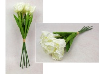 Bukiet, pęczek TULIPAN Papuzi wys. 45 cm, 7 łodyg (7 kwiatów 6x4 cm) BIAŁY