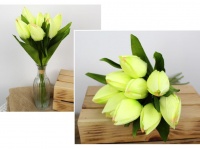 Bukiet pęczek TULIPAN wys. 44 cm 9 łodyg (9 główek 7x4,5 cm) ZIELONY JASNY