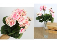 Bukiet PELARGONIA wys. 34 cm 5 łodyg RÓŻOWA