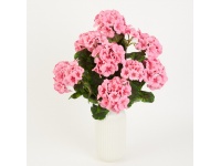 Bukiet PELARGONIA wys. 56 cm, 7 łodyg - RÓŻOWY