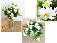 Bukiet RUMIANEK wys. 42 cm, 14 łodyg (kwiat 6-4 cm) BIAŁY