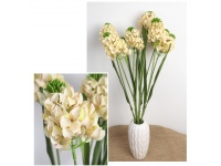 Bukiet TUBEROZA wys. 64 cm, 7 łodyg (kwiat 10x8 cm) BRZOSKWINIOWY