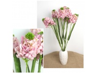 Bukiet TUBEROZA wys. 64 cm, 7 łodyg (kwiat 10x8 cm) RÓŻOWY