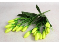 Bukiet KROKUS pączki wys. 36 cm, 7 łodyg (31 kwiatów 4x2 cm) LIMONKOWY