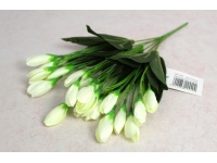 Bukiet KROKUS pączki wys. 36 cm, 7 łodyg (31 kwiatów 4x2 cm) ŚMIETANOWY