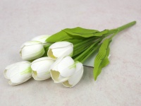 Bukiet TULIPAN piankowy wys. 36 cm, 7 łodyg (7 łodyg 4,5x3 cm) BIAŁY