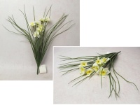 Bukiet ŻONKIL wys. 35 cm, 10 łodyg (9 kwiatów 4,5x2,5 cm) BIAŁY z żółtym środkiem