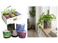 Doniczka, osłonka ceramiczna SZLACZKI mazane ze złotym 10x9,5 cm MIX