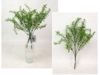 Gałązka ASPARAGUS wys. 39 cm, 5 łodyg ZIELONY ciemny